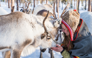 Visit a reindeer herder